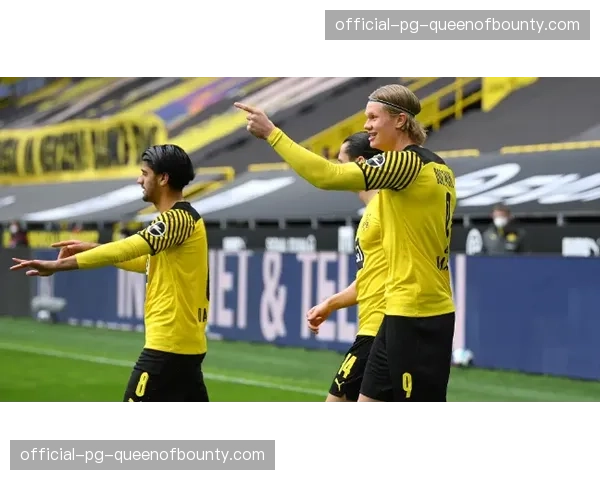 本周继续与多特对话，我的未来尚未决定